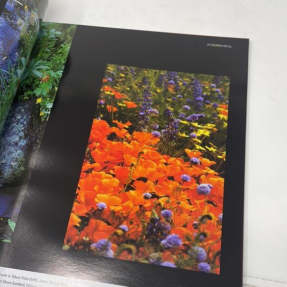 Y2K Tahoe Quarterly Photo Annual Report 2004 (misprint) - Picture 6 of 10